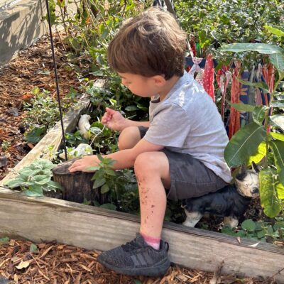 Little boy in a garden
